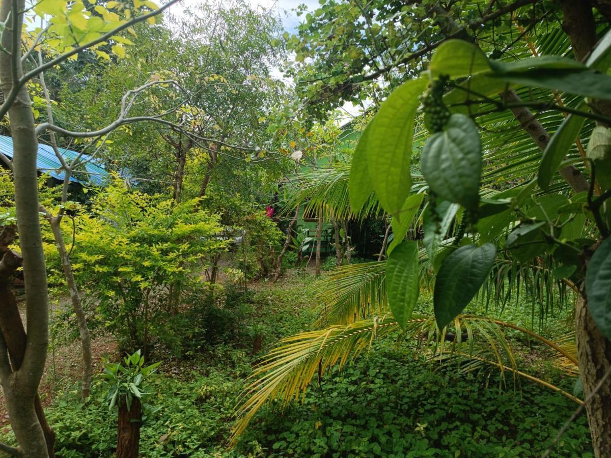 Forest Villa Nature Resort Holambra Exterior foto