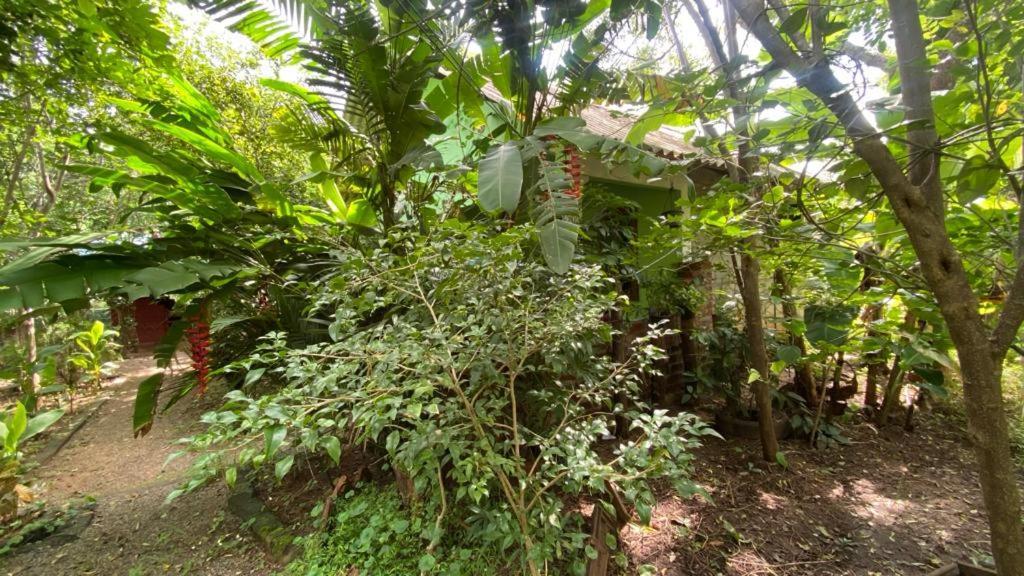 Forest Villa Nature Resort Holambra Exterior foto
