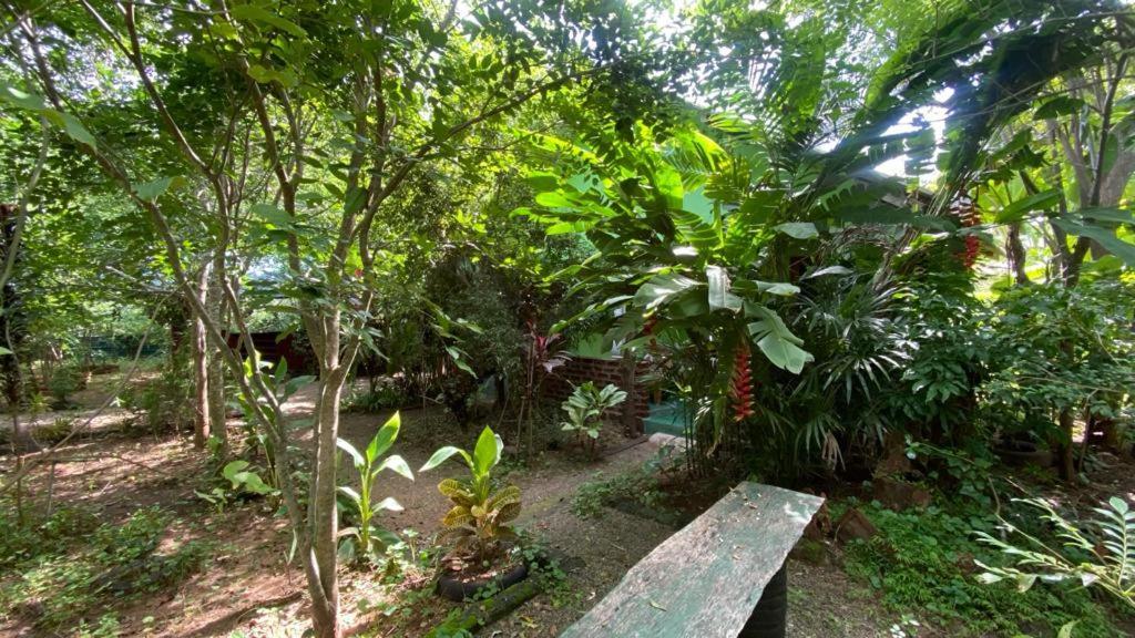 Forest Villa Nature Resort Holambra Exterior foto