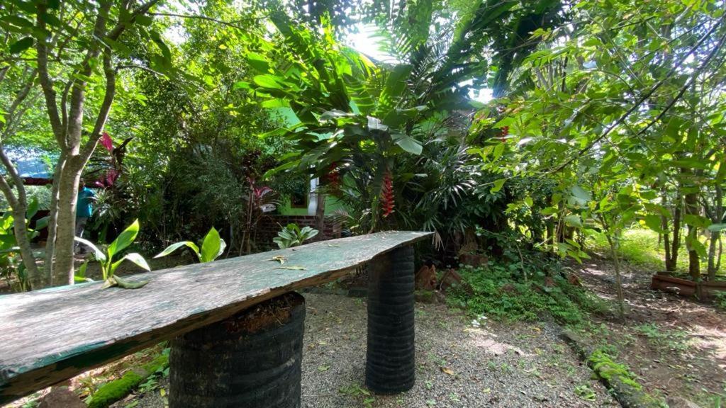 Forest Villa Nature Resort Holambra Exterior foto