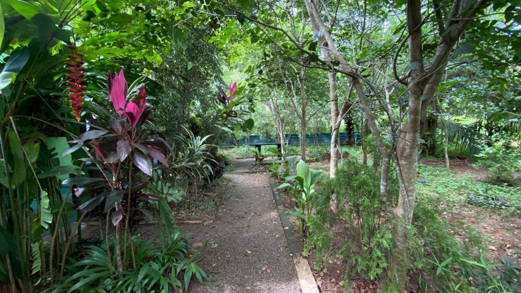Forest Villa Nature Resort Holambra Exterior foto