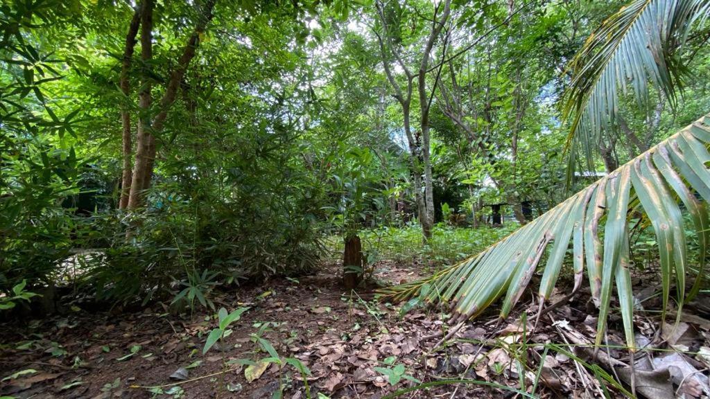 Forest Villa Nature Resort Holambra Exterior foto