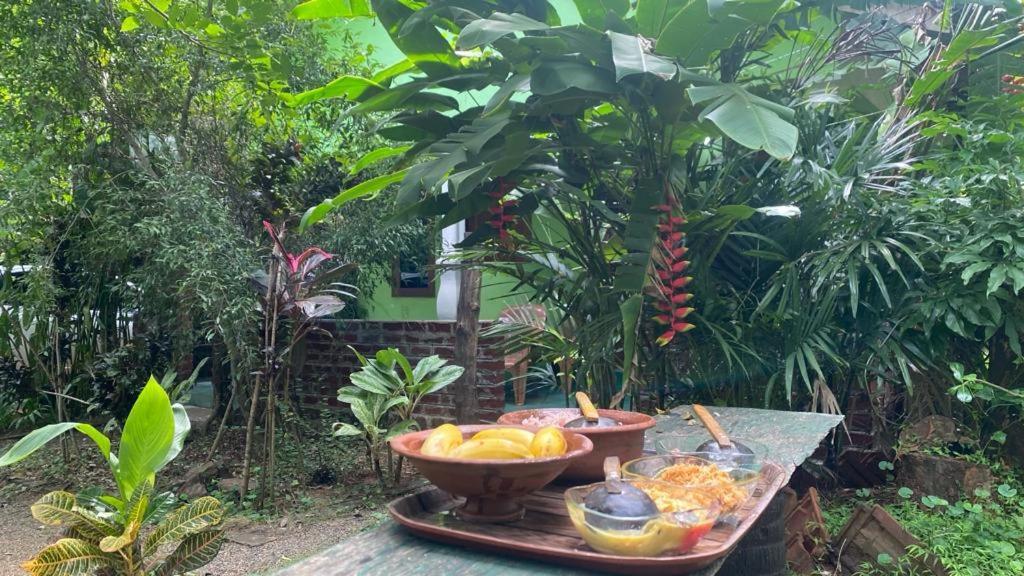 Forest Villa Nature Resort Holambra Exterior foto