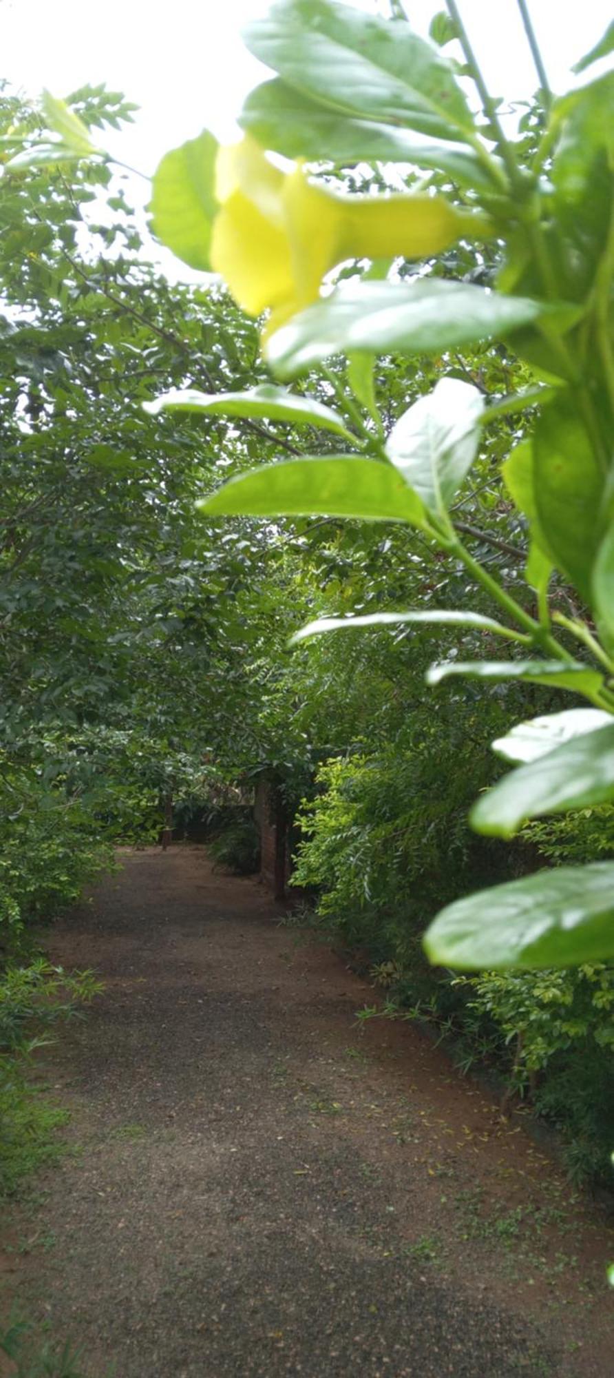 Forest Villa Nature Resort Holambra Exterior foto