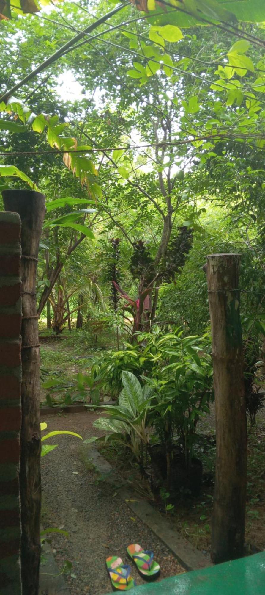Forest Villa Nature Resort Holambra Exterior foto