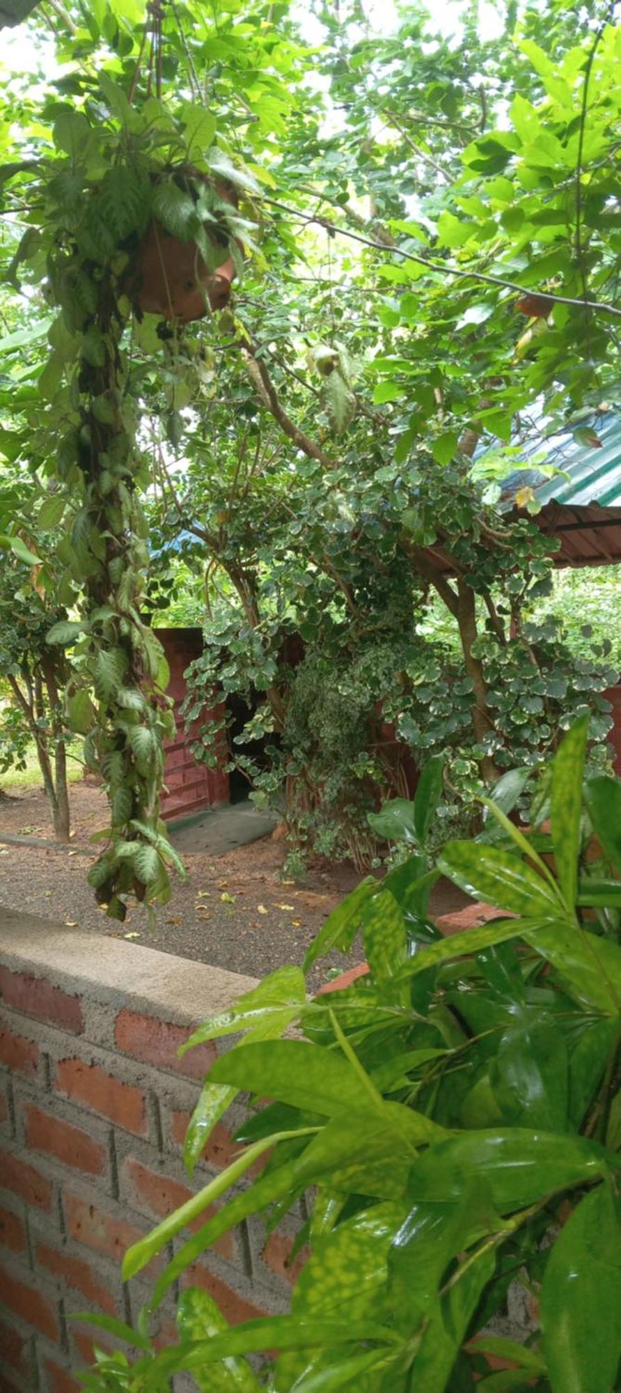 Forest Villa Nature Resort Holambra Exterior foto