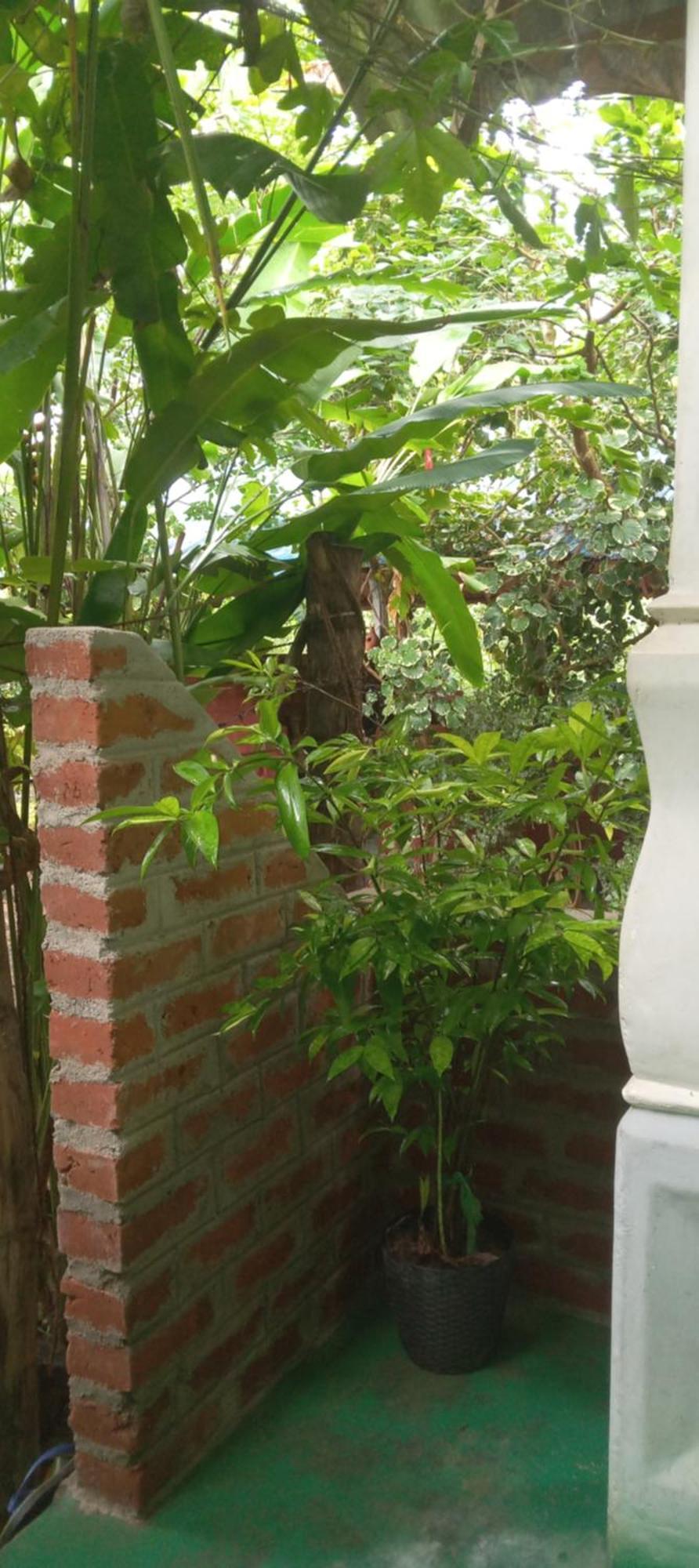 Forest Villa Nature Resort Holambra Exterior foto