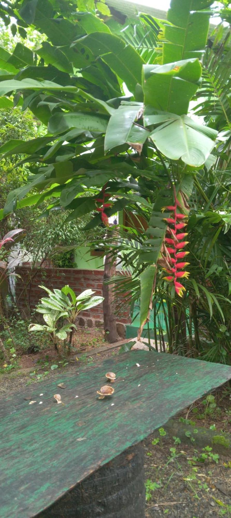 Forest Villa Nature Resort Holambra Exterior foto