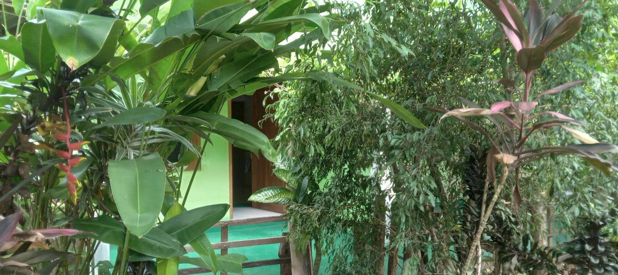 Forest Villa Nature Resort Holambra Exterior foto