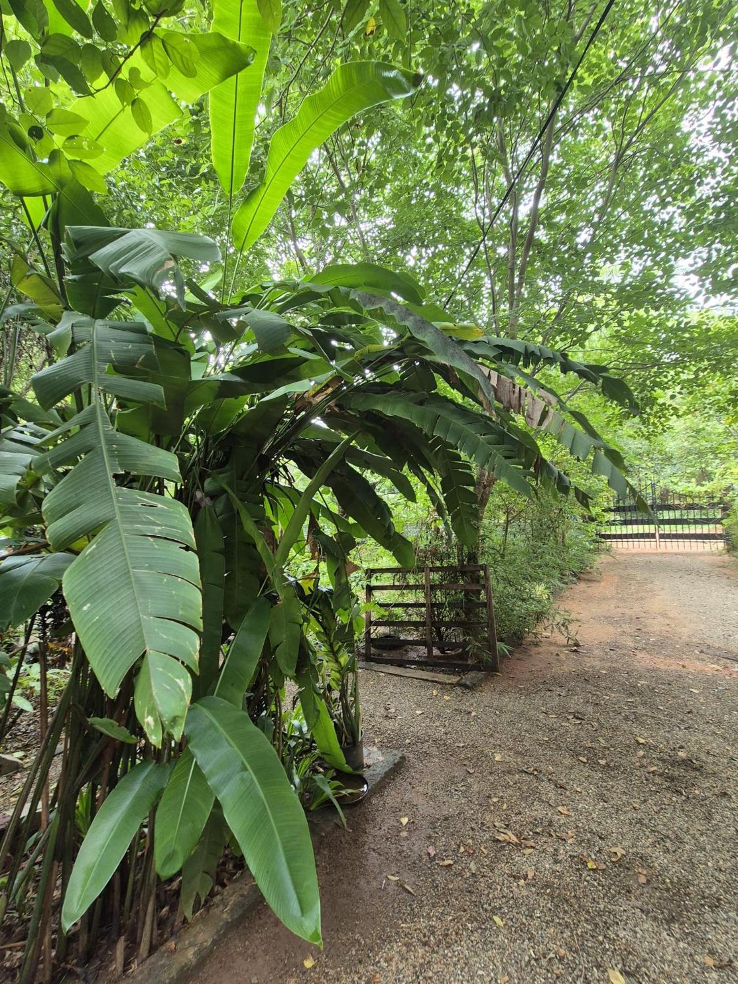 Forest Villa Nature Resort Holambra Exterior foto