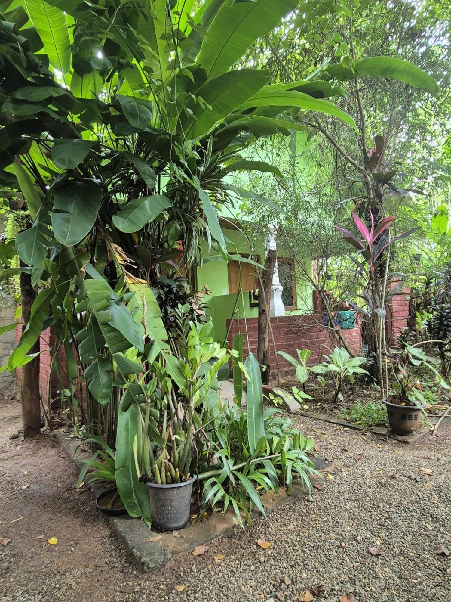 Forest Villa Nature Resort Holambra Exterior foto