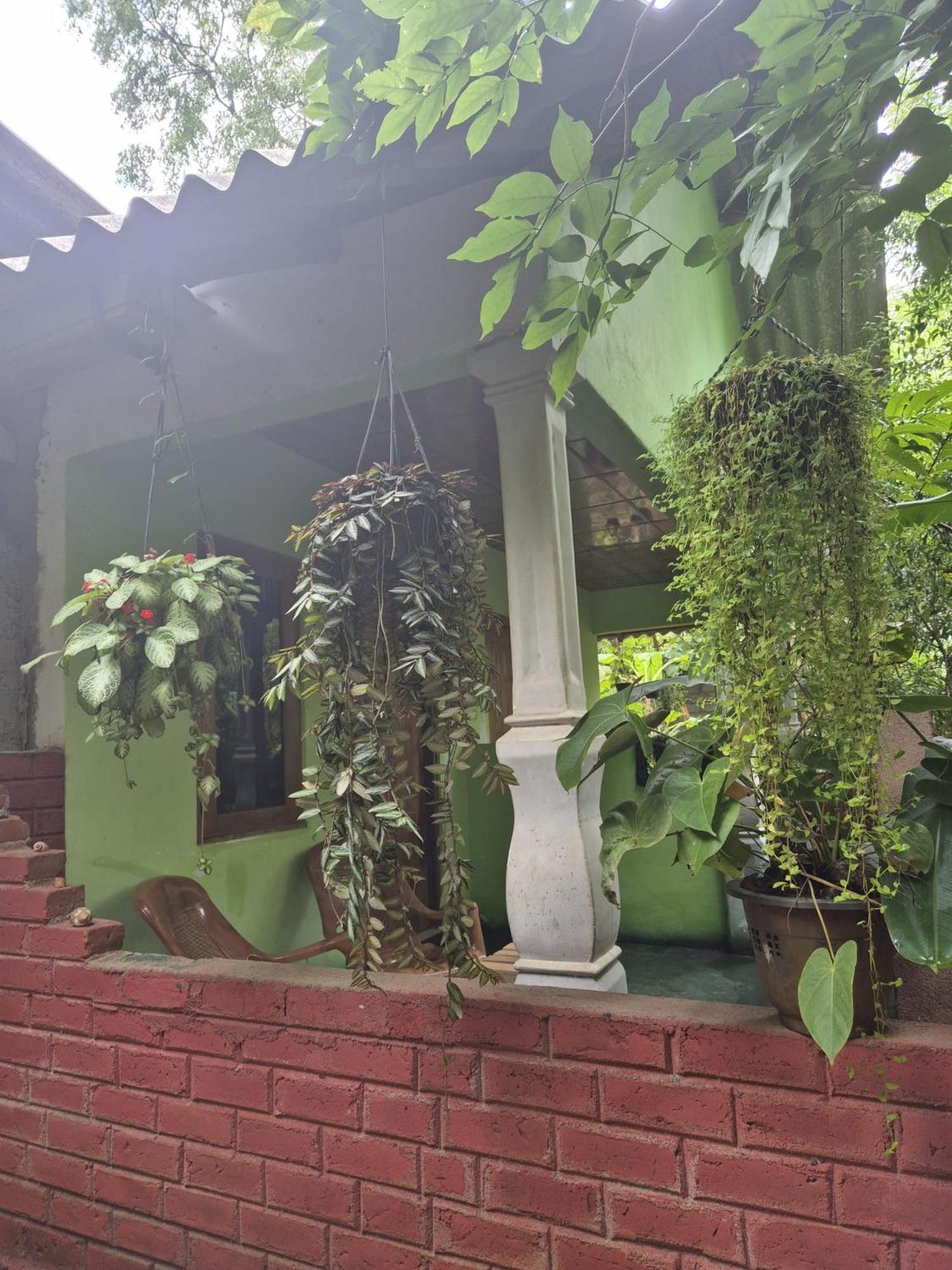 Forest Villa Nature Resort Holambra Exterior foto