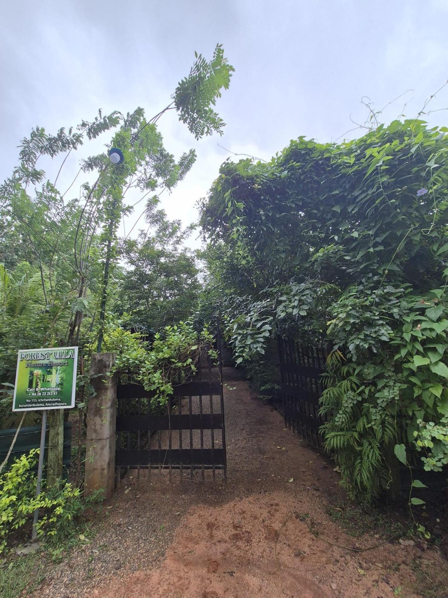 Forest Villa Nature Resort Holambra Exterior foto